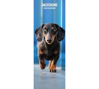 Dachshund 2026 Slim Calendar