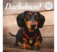 Dachshund 2027 Deluxe Calendar