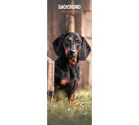 Dachshund 2027 Slim Calendar