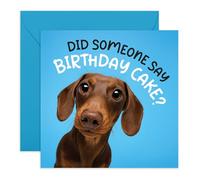 Dachshund Birthday Card - ‘Did Someone Say Cake?’ - Cute Dog Greetings for Her, Him, Neighbour, Friends, Sister, Brother, Mum, Dad, Dog Lovers - Comes with Fun Stickers