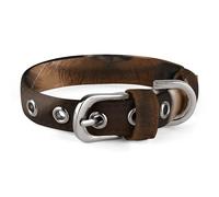 Dachshund Book Pet Collar Oxford Adjustable Safety Dog Collars Cute Outdoor Training Pet Collars Easy Clean Floral Print Puppy Collar for City Pet Owners