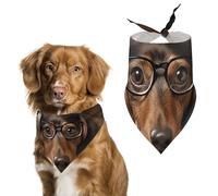Dachshund Book Pet Scarf Adjustable Pet Accessories Triangular Scarf Washable Floral Print Puppy Bib Bandana Stylish Comfortable Cat Scarves for Holiday Scarfs