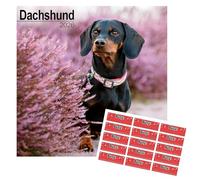 Dachshund Calendar 2026 | 16 months | with FREE Organisational Stickers