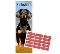 Dachshund Calendar 2026 Slimline Calendar with FREE Organisational Stickers