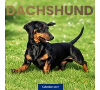 Dachshund Calendar 2027: Dachshund Portraits and Outdoor Scenes