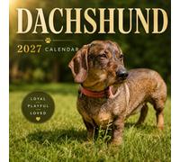Dachshund Calendar 2027: Small Dog Photography