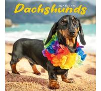 Dachshund Calendar 2027, Wall Calendars, Month To View, Dogs, Gift