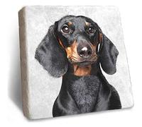 Dachshund Coaster - Rustic Natural Marble Coaster by Stone Rebellion (Dachshund)