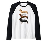 Dachshund Coffee Roast Chart Light Medium Dark Roast Wiener Raglan Baseball Tee