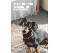 Dachshund Dog A3 Calendar 2027, Wirobound, Full Colour (MPRA)