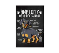 Dachshund Dog Anatomy Canvas Poster Wall Art Decor Print Picture Paintings for Living Room Bedroom Decoration Unframe-style 12x18inch(30x45cm)