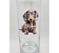 Dachshund Dog Breed Glass Tumbler. Sausage Dog Drinking Glass. Dapple Merle Dachshund