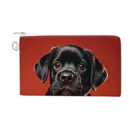 Dachshund Dog Coin Purse Canvas Wallet Cute Change Purse Small Storage Bag with Zipper, Cute Black Pug Dog, One Size, Flowers and Animals