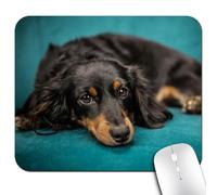 Dachshund Dog Cute Pet Mouse Pad, Navy Blue Mouse Pads Cute Gaming Mat