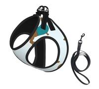 Dachshund Dog Cute Wallpaper,Pet Harness,Adjustable Reflective Dog Harness,Pet Leash Vest,M
