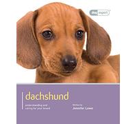 Dachshund - Dog Expert