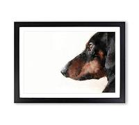 Dachshund Dog Framed Print | A2 Black Framed Wall Art | Ready to Hang | Modern Animal Picture | Living Room Bedroom Lounge Office