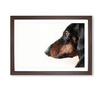 Dachshund Dog Framed Print | A2 Walnut Framed Wall Art | Ready to Hang | Modern Animal Picture | Living Room Bedroom Lounge Office