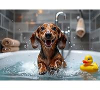 Dachshund Dog in Bathroom Jigsaw Puzzles 1000 Pieces for Adults Bath Soap Wash Your Wiener Dog Animal Wooden Puzzle Puzzles for Adult Home Decor Funny Family Game Toys Best Gift 20x28in