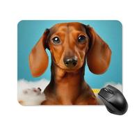 Dachshund Dog Mouse Pad Square Laptop Mouse Mat Cute Computer Mousepad Keyboard Pad Non-Slip Desk Pads for Gaming Office Work Home 20 * 25cm