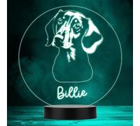 Dachshund Dog Pet Silhouette Multicolour Personalised Gift LED Lamp Night Light | Personalised Gift For Home, Lamp Room Décor | Kids & Adults Night Lights With Name | Personalised Gift For Bedroom |