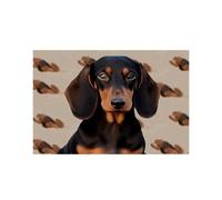 Dachshund Dog Place Mats for Kitchen, Heat Resistant Non-Slip Placemats for Wedding, Washable Table Mat for Restaurant, Durable Place Mat for Dining Table 30x45cm