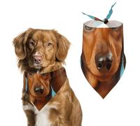 Dachshund Dog Printed Pet Scarf Polyester Triangle Scarf - One Size (27.6in X 11.8in)