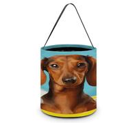 Dachshund Dog Printing Candy Basket Halloween Trick Or Treat Bags Gift Bucket For Halloween Party Or Daily Supplies, Style, One Size