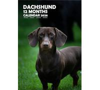 Dachshund Dog Wall Calendar, A3 Size, Wire-Bound, Full Colour, Free Pack of Calendar Stickers