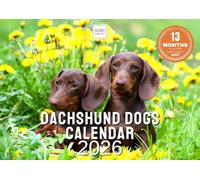 Dachshund Dogs Calendar 2026 - Sausage Dog & Puppy Wall Calendar UK - A4 to A3 with Space for Notes - Printed in the UK by Ruby Ashley®