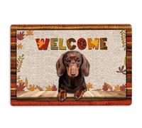 Dachshund Door Mat Dachshund Dog Welcome Fall Autumn Pumpkin Spice Maple Leaf Welcome Non-Slip Mats Funny Doormat Bathroom Kitchen Front Porch Rugs Entrance 16 * 24in/40 * 60cm