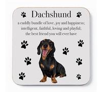Dachshund Drinks Coaster - Dachshund Gift For Men, Women - Birthday Gift For Dog Lovers - Fun Present For Friends, Colleagues, Family - Small Gift Idea For Him, Her - Drinks Coaster - Iconic