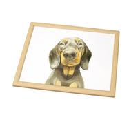 Dachshund Face Lap Tray 44x34cm Cushioned Lifelike Sausage Dog Pet Art Serving Bean Bag