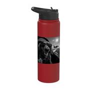 Dachshund Flying High Aviator Style Stainless Steel Insulated Water Bottle
