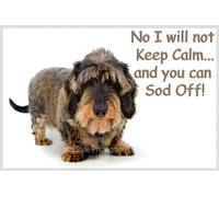 Dachshund Fridge Magnet - No I Will not Keep Calm...