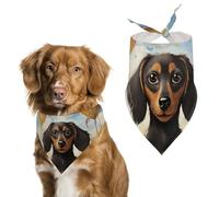 Dachshund Hot Air Balloon Dog Bandana Washable & Adjustable Triangle Scarf, Breathable Pet Scarf for Small Medium Large Pets, Cute Fashion Pet Accessory