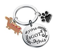 Dachshund Keychain Dachshund Gifts Dachshund Lover Owner Gifts You Got This Dachshund Dog Gifts Pet Owner Rescue Gifts (Dachshund ky)