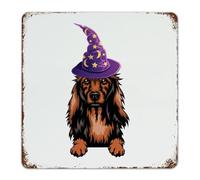 Dachshund Long Hair Funny Novelty Metal Signs Outdoor Hanging Office Wall Art Plaques Pet Puppy Dog Painting Home Décor Metal Plaque for Patio Yard Restaurants 12x12 Inch