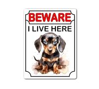 Dachshund Metal Sign Gift - Beware I Live Here - Cute Fun Dog Novelty Aluminium Present