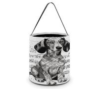 Dachshund Music Notes Printing Candy Basket Halloween Trick Or Treat Bags Gift Bucket For Halloween Party Or Daily Supplies, Style, One Size
