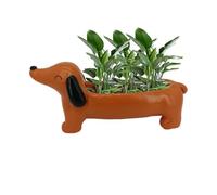 Dachshund Planter - Resin Weather-Resistant, Handmade Garden Pot | Whimsical Animal Design, Small Holder, Durable Cute Decorative Accent Perfect Outdoor Indoor Plant Display, Pet Lover Gift