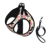 Dachshund Print Harness Leash Set For Cat Dog, Reflective Adjustable Escape-Proof Vest Lead With Soft Breathable Mesh, For Small Pets And Kitten Puppy