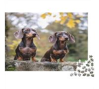 Dachshund Puppies-Adorable Pet Companions 1000Pc Puzzle for Adults: Two Dachshunds on A Rock for The Whole Family Women, Gifts for Men 52x38cm/1000pcs
