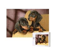 Dachshund Puppies Pets Dogs Small Dachshund,300 Pieces Wooden Jigsaw Family Game Jigsaw Puzzles for Adults Teens Home Decor