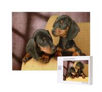 Dachshund Puppies Pets Dogs Small Dachshund,500 Pieces Wooden Jigsaw Family Game Jigsaw Puzzles for Adults Teens Home Decor