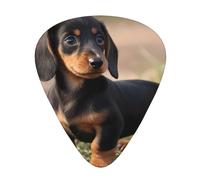 Dachshund puppy Printed pick set - 12 pieces, thin, medium and thick guitar picks, suitable for guitar, bass, electric guitar and ukulele