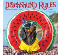 Willow Creek Press, Dachshund Rules 2027 7" x 7" Mini Wall Calendar