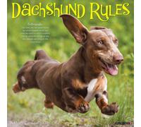 Dachshund Rules 2027 Wall