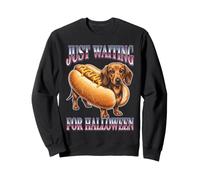 Dachshund Sausage Dog Halloween Costume Funny Sweatshirt