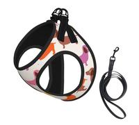 Dachshund Sausage Dogs Cute Dog,Pet Harness,Adjustable Reflective Dog Harness,Pet Leash Vest,S
